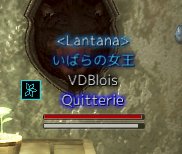 mayn6102's tweet photo. Lantanaギルドに復帰しました
#黒い砂漠PC https://t.co/TxjPJtPZ41
