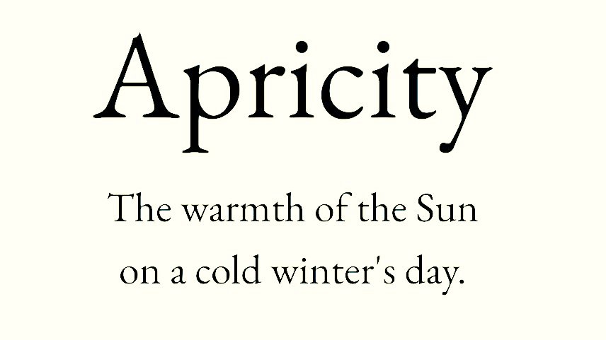 Cian McCarthy tweet media