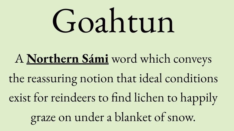 Cian McCarthy tweet media