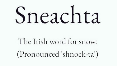 Cian McCarthy tweet media