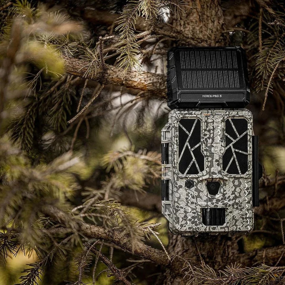 FreedomUSA_com's tweet photo. 🏞 Looking for unbeatable performance in the field? Grab the SPYPOINT FORCE-PRO-S Solar Non-Cellular Trail Camera and never miss a shot! With solar power, you can keep your camera running longer without worrying about battery life. Plus, buy 3 today and SAVE!

⚡ Capture high-quality images, monitor wildlife, and enjoy hassle-free operation with this rugged, reliable camera—perfect for hunters, wildlife enthusiasts, and outdoor adventurers.

📦 Buy now and save big!
.
#SPYPOINT
