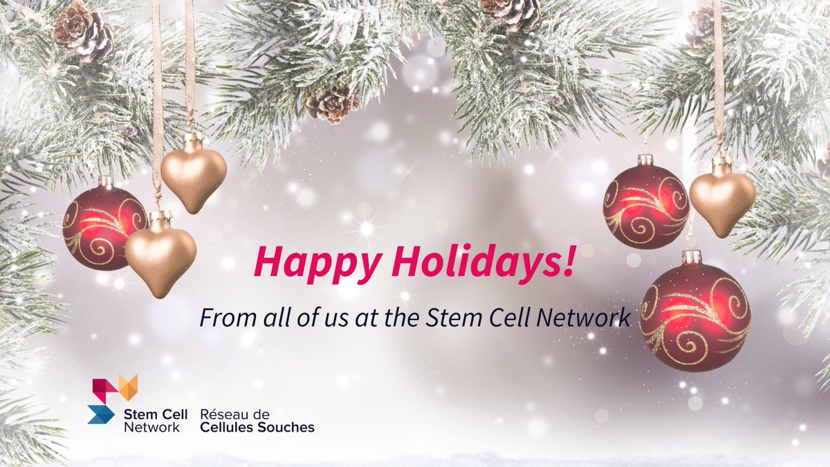 We’d like to cell-abrate this joyful season by wishing you a wonderful holiday on behalf of SCN! ✨

Wishing you health, happiness, and stem-tacular success in the year ahead!