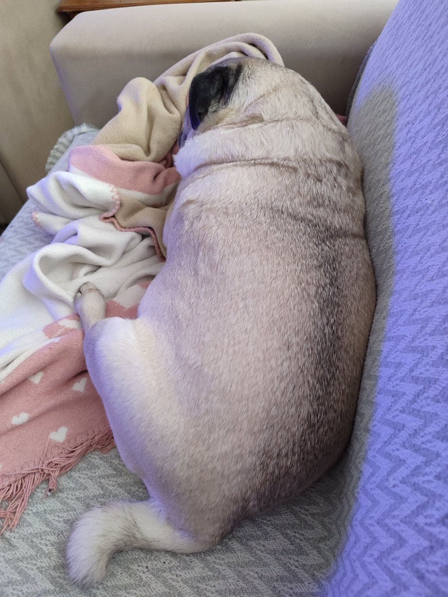 Ulu Kamgal Bado ve Tombi Bacı tweet media