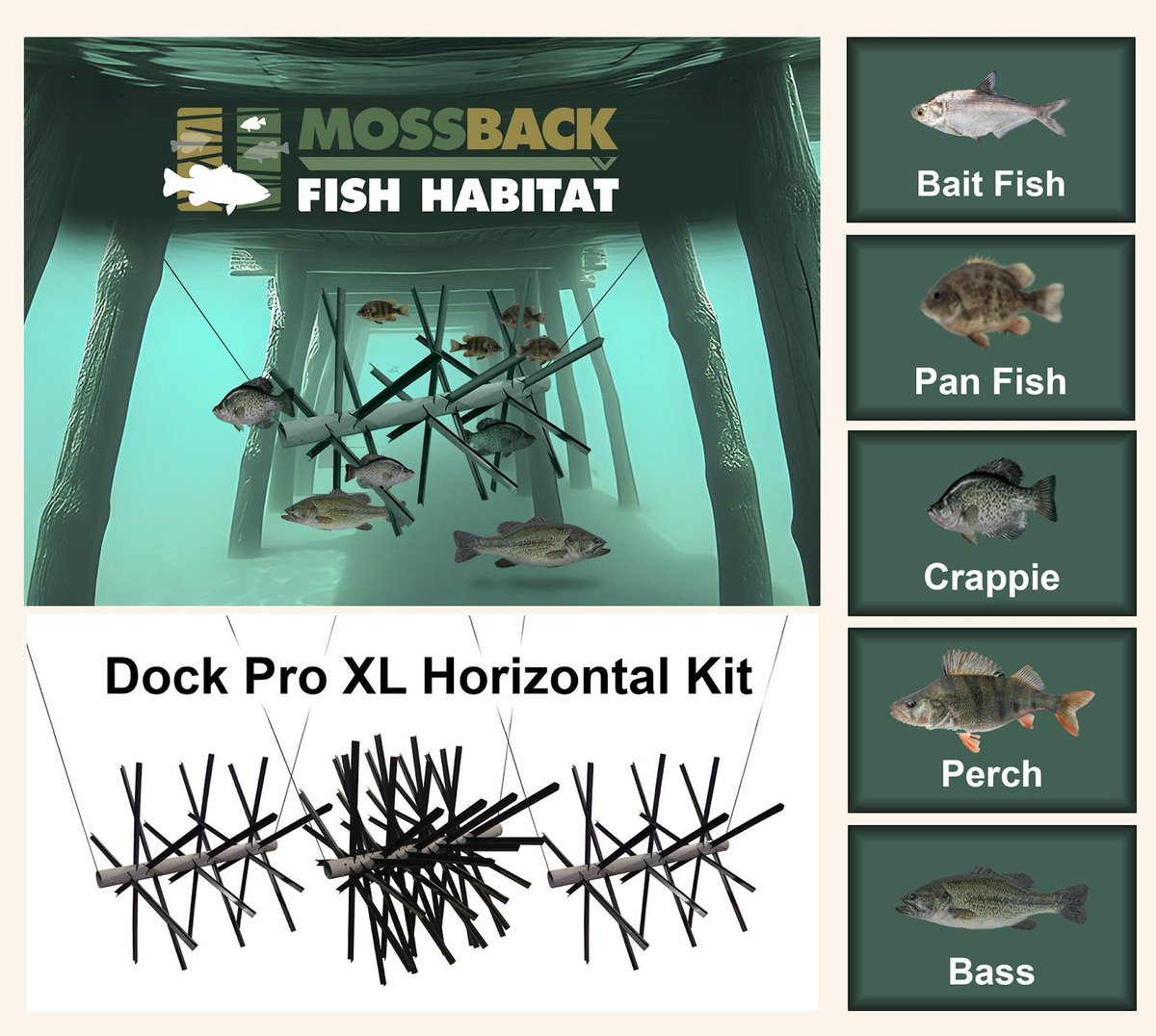 crappiemates's tweet image. Adding a #MossbackFishHabitat has transformed my pond! 🎣 The Dock Pro XL Kit brought in bait fish, crappie, bass &amp;amp; more, creating a thriving ecosystem with great catches year-round. 🐟

Boost your pond here:
🔗 ddoutdoor.com/shop/mossback-…

#PondManagement #FishingLife