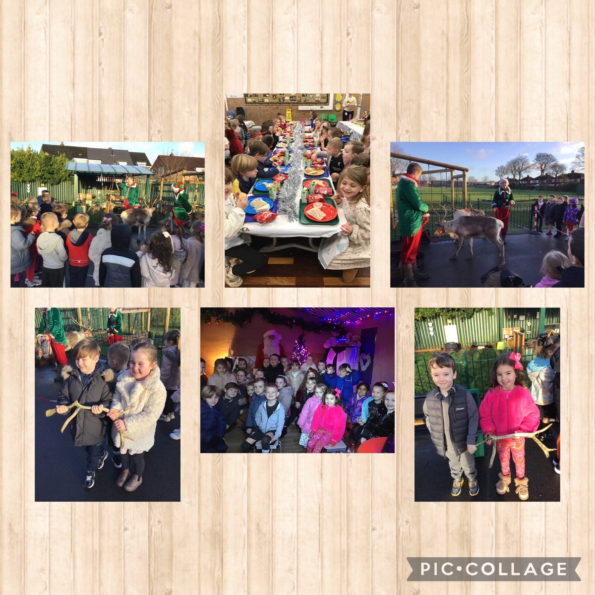 spstyear1 tweet media