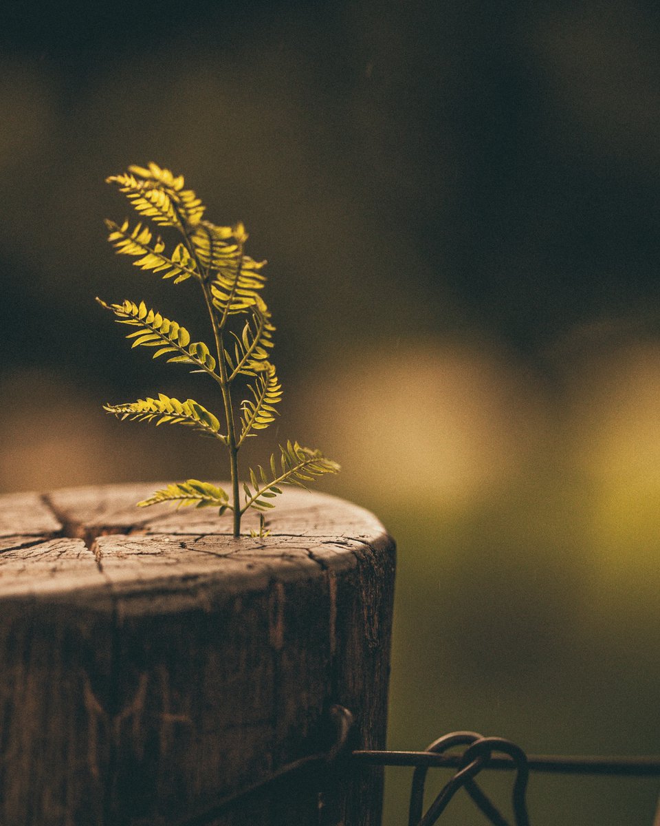 We want to hear your stories:
✨ Have you witnessed an act of bravery or kindness?
✨ Have you seen a family, a business, or a community rebuilding despite the odds?
✨ What moments of resilience have left you in awe?
Your stories fuel hope and inspire others to take action.