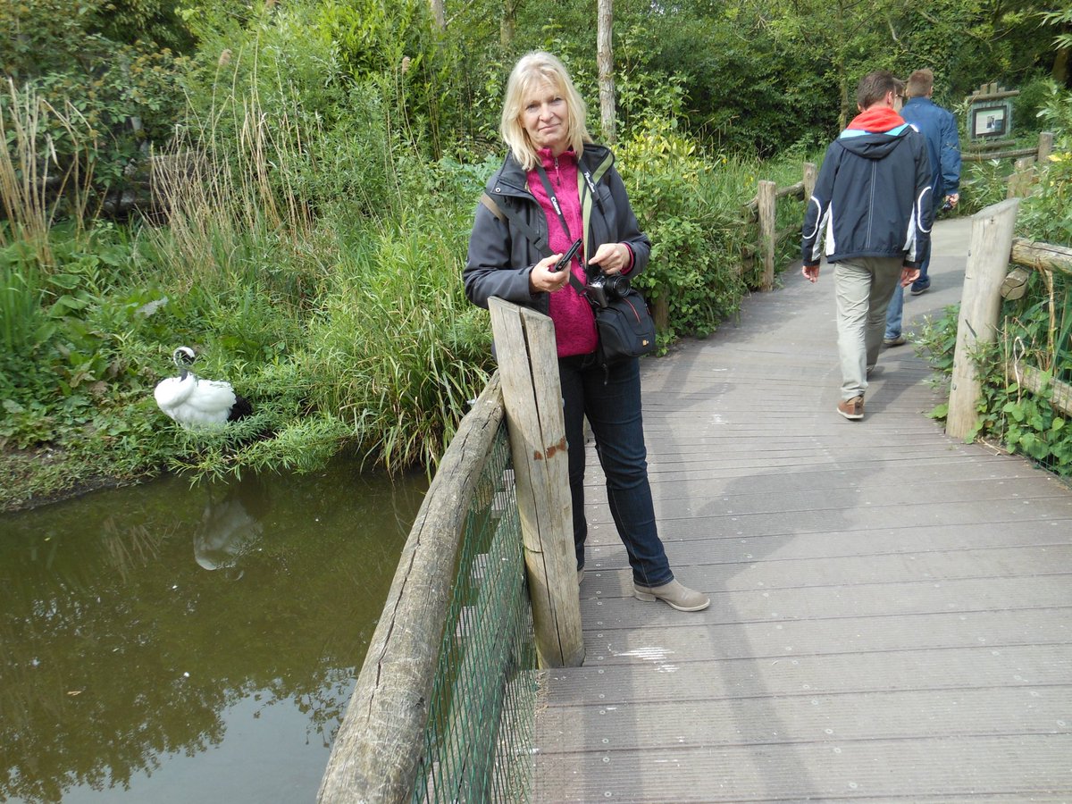 Bea Schreuder (@beaschreuder) on Twitter photo 