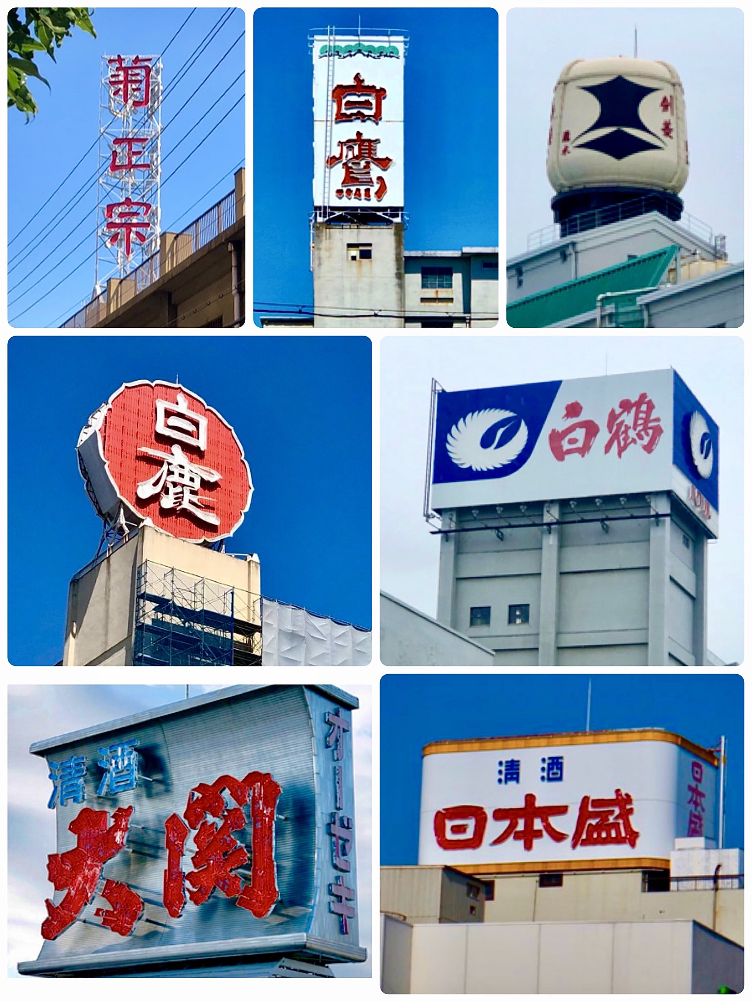 【TAMA屋】全て正絹 色無地 作家物落款 草木染 まとめ売り10点TM2095 TAMA屋】全て正絹 色無地 作家物落款 草木染 まとめ売り10点