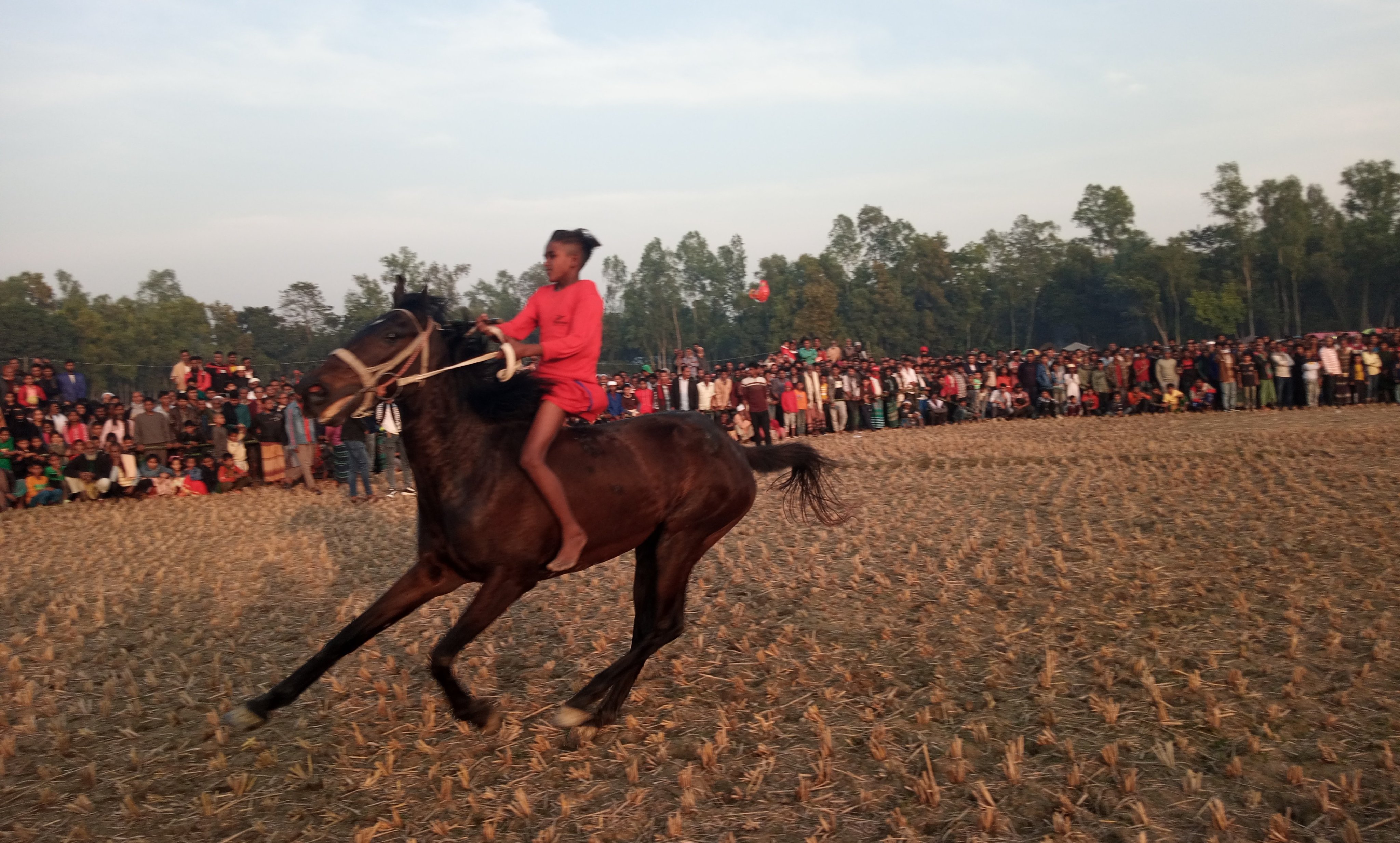 সরিষাবাড়ীতে হয়ে গেলো গ্রাম-বাংলার ঐতিহ্যবাহী ঘোড়দৌড় প্রতিযোগীতা
