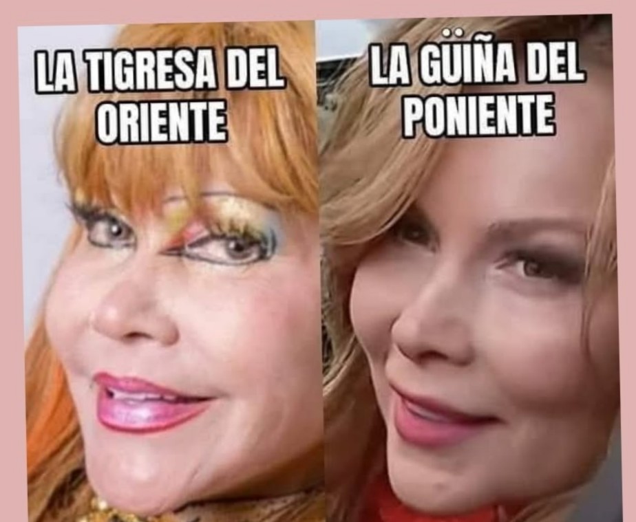 c08415455's tweet photo. @KichaChilena Que te digan derechista es una vergüenza todos corruptos pedofilos se defienden entre ellos saqueos por mayor en las municipalidades https://t.co/fPqBvuEuLo