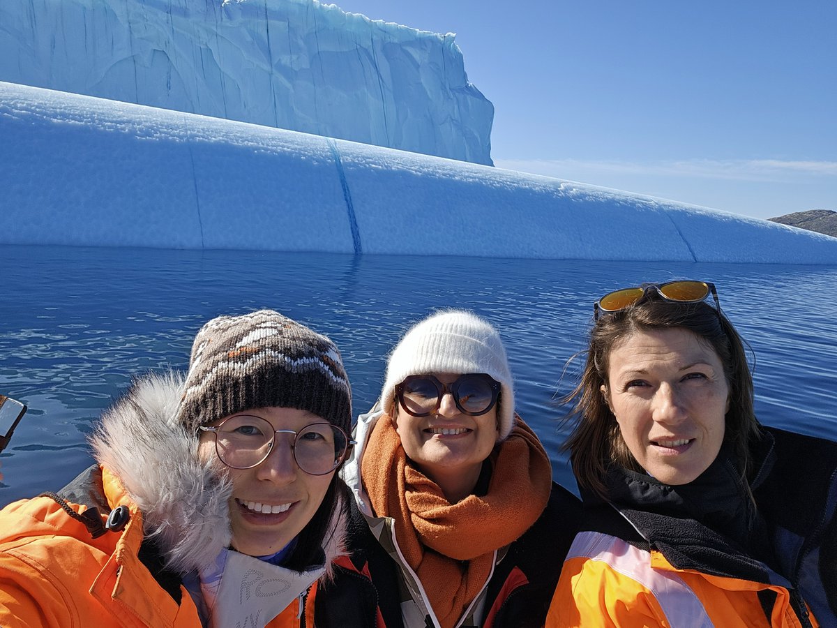 Arctic ICEBERG tweet media