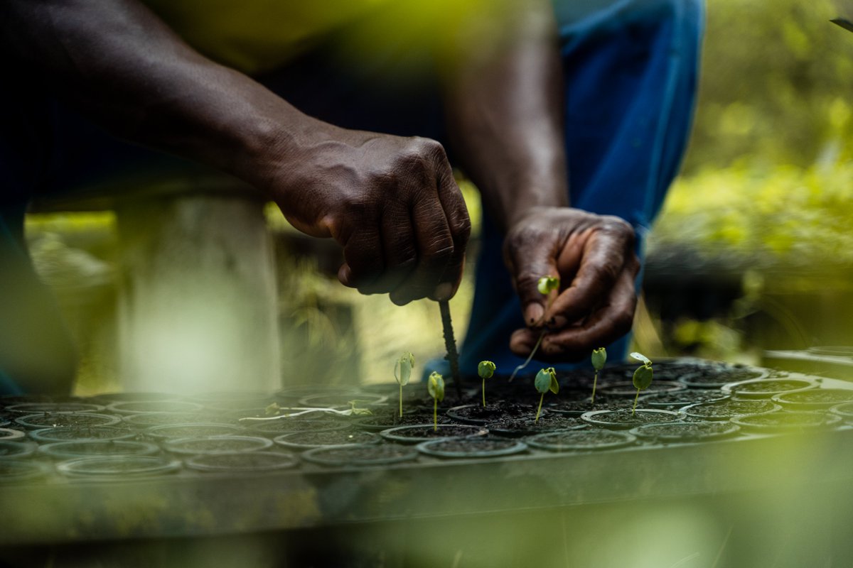 The latest issue of The Ethical Corporation is out with an in-depth look at financing nature. With articles by <a href="/AngeliMehta/">Angeli Mehta</a>, <a href="/mikescottgreen/">Mike Scott</a>, <a href="/Cat_Early76/">Catherine Early</a>, <a href="/OLIVERBALCH/">Oliver Balch</a>, <a href="/jillbaker240/">Jill R Baker</a>, <a href="/RobinHicks_/">Robin Hicks</a>  #bioeconomy #naturefinance #biodiversity <a href="/tslavinm/">Terry Slavin</a> 1.reutersevents.com/LP=37829