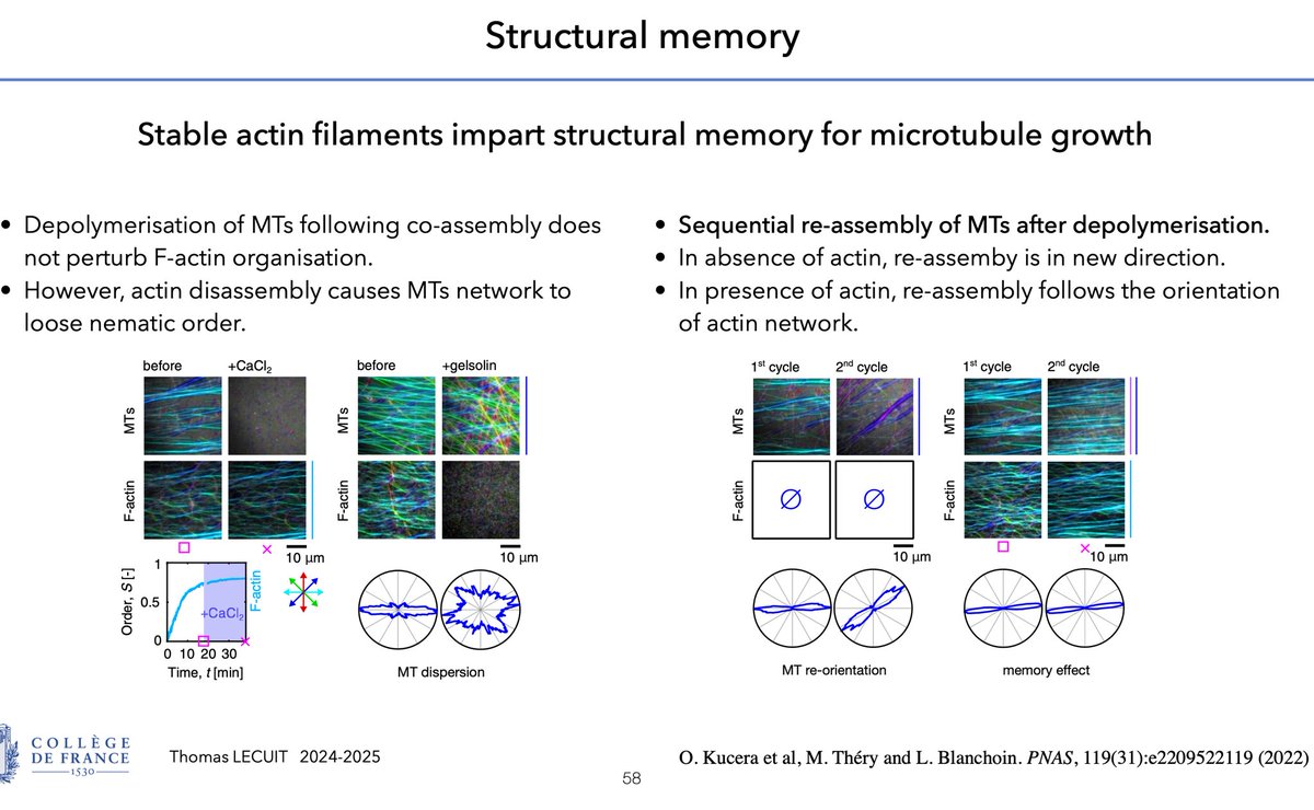 TLecuitLab (@lecuitlab) on Twitter photo ⬇️ link to pdf & video of last course <a href="/cdf1530/">Collège de France</a> on biological information, devoted to cellular learning & memory. Learnability manifests across scales from molecules to networks, structures and whole cells. Much to think further about. Enjoy!
tinyurl.com/n4hfx4ec ⬇️ link to pdf & video of last course <a href="/cdf1530/">Collège de France</a> on biological information, devoted to cellular learning & memory. Learnability manifests across scales from molecules to networks, structures and whole cells. Much to think further about. Enjoy!
tinyurl.com/n4hfx4ec