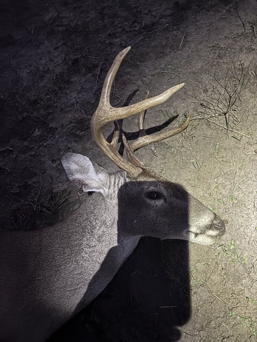 Pat Murphy tweet media