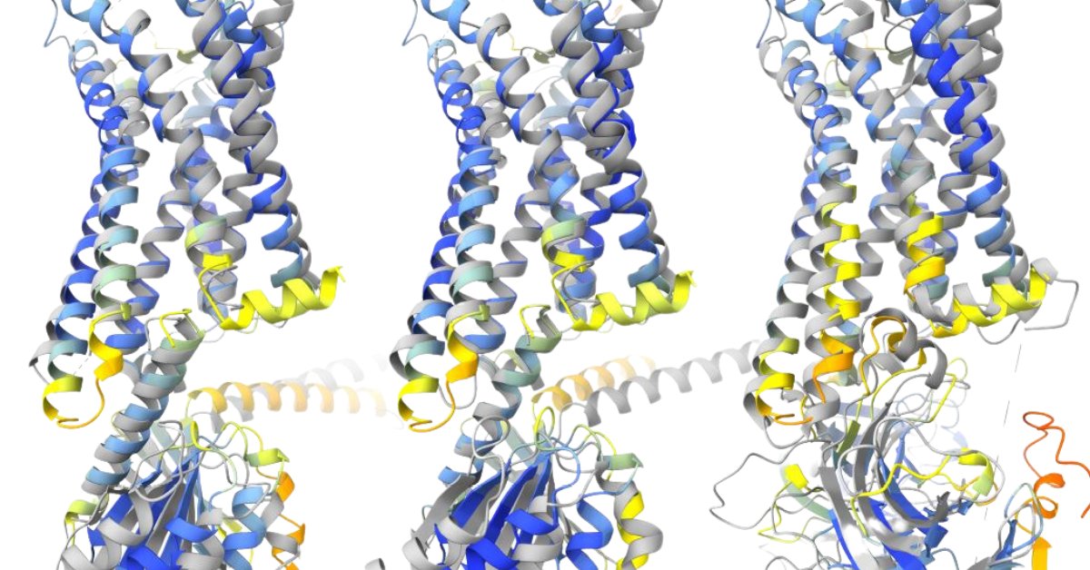psc_live's tweet photo. GPCR proteins are central to cells’ responses to the body’s messages, and are central to over 1/3 of all approved drugs. A team from @OregonState used Anton 2 to investigate the proteins' surprising behaviors. 

Read more ➡️ https://t.co/1pt2Q18zed https://t.co/Nf0GD1A9z4