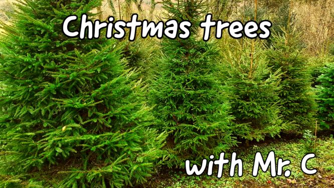 RogietPrimary (@rogietprimary) on Twitter photo Find out all about Christmas Trees: Why do we have them? Are they all the same? Where does the tradition originate?
Click on the link π
youtu.be/XzrusVYKgLA
<a href="/craigarmiger/">Craig Armiger</a> <a href="/LtL_News/">Learning through Landscapes</a> <a href="/_OLW_/">DysguAwyrAgoredCymru/OutdoorLearningWales</a> @CoedCadw @thekentacorn <a href="/WTWales/">Wildlife Trusts Wales</a> <a href="/RobPennWildwood/">Robert Penn</a> <a href="/GwentWildlife/">Gwent Wildlife Trust</a> <a href="/MillardWill/">Will Millard</a> Find out all about Christmas Trees: Why do we have them? Are they all the same? Where does the tradition originate?
Click on the link π
youtu.be/XzrusVYKgLA
<a href="/craigarmiger/">Craig Armiger</a> <a href="/LtL_News/">Learning through Landscapes</a> <a href="/_OLW_/">DysguAwyrAgoredCymru/OutdoorLearningWales</a> @CoedCadw @thekentacorn <a href="/WTWales/">Wildlife Trusts Wales</a> <a href="/RobPennWildwood/">Robert Penn</a> <a href="/GwentWildlife/">Gwent Wildlife Trust</a> <a href="/MillardWill/">Will Millard</a>