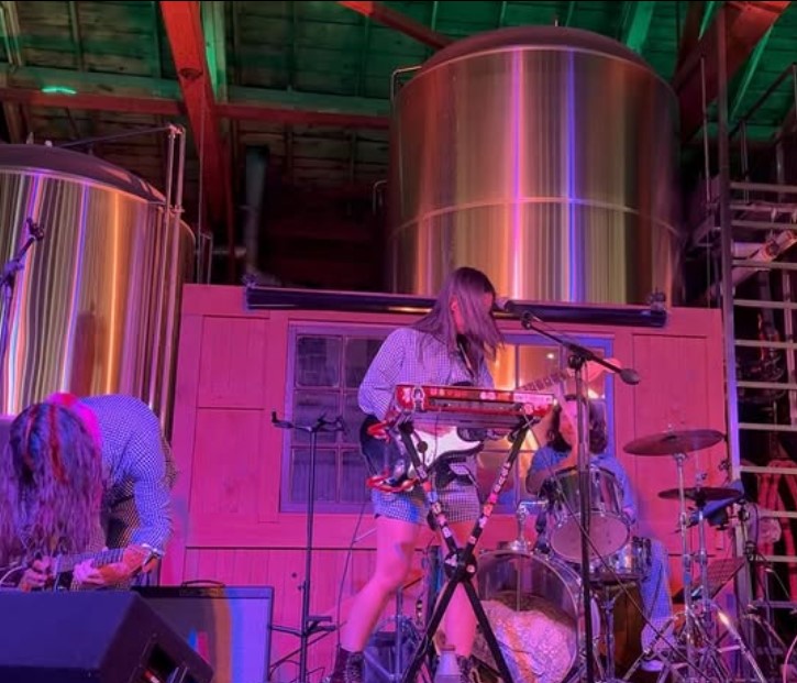 1 WEEK AWAY: Catch Linebeck w/ AloneKitty, The Whateleys &amp; Modern Life Elixir at Sneaky Dee's on Sat Jan 18! Tickets available at: bit.ly/3P2eGgX