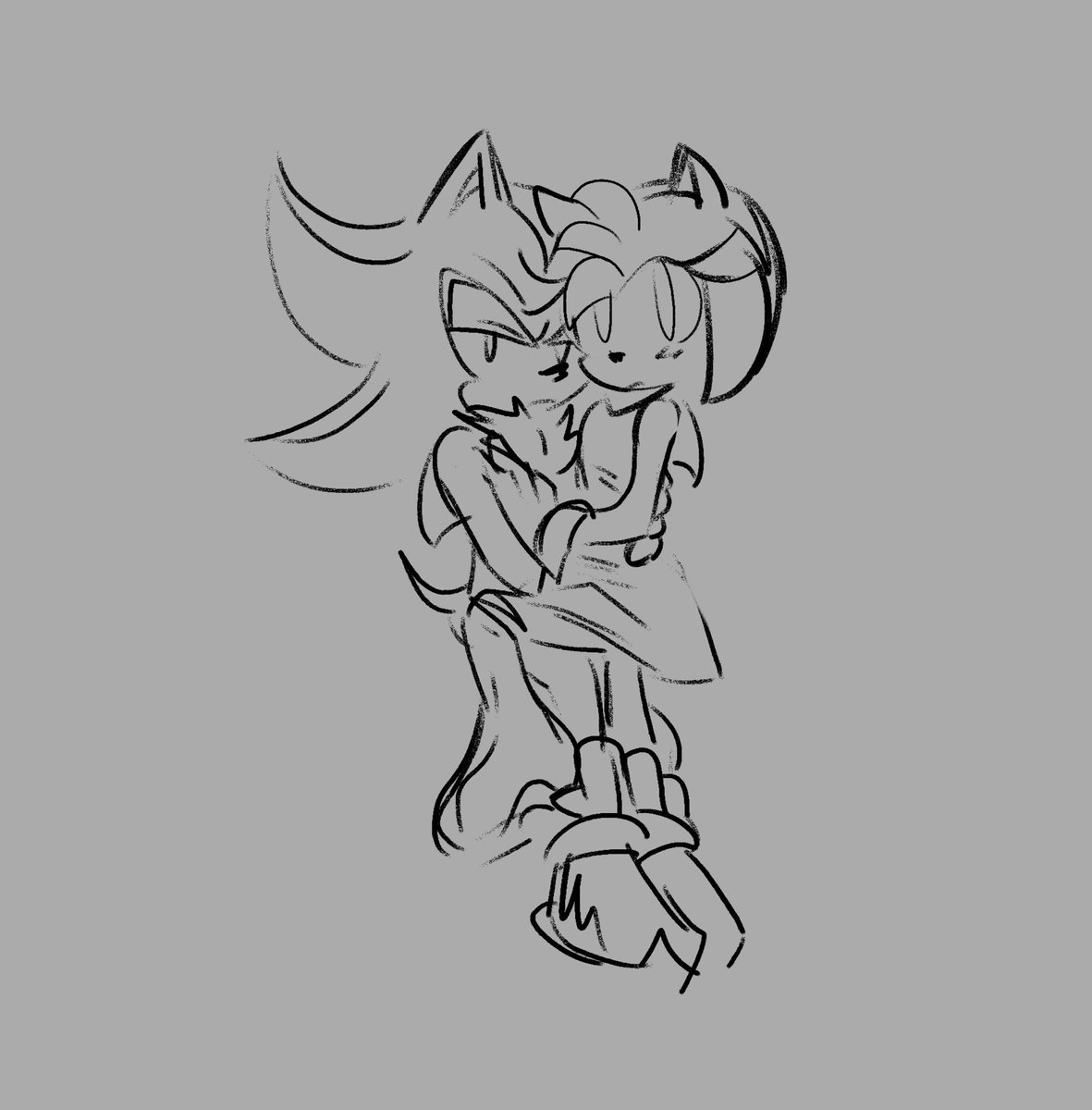 They're so adorable fr
#Shadamy #ShadowTheHedgehog #amyrose