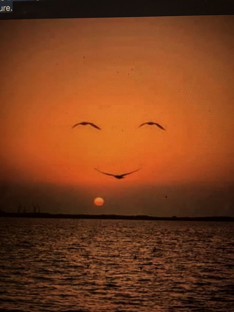 ☣️ Pleb Kruse = BTC foundationalist in exile 🟩🔆 tweet media