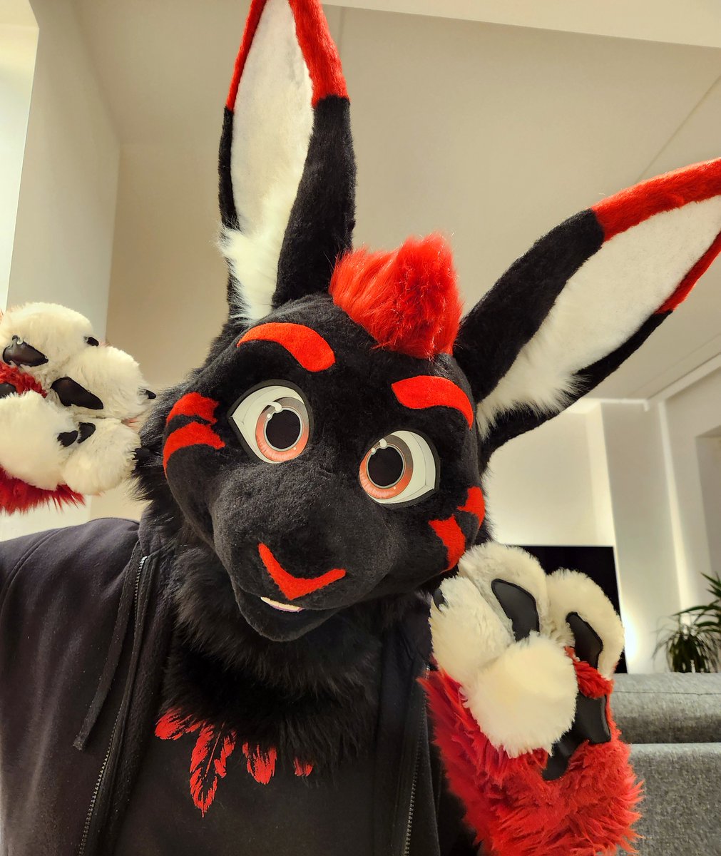 I'm Niku! 🦊 tweet media