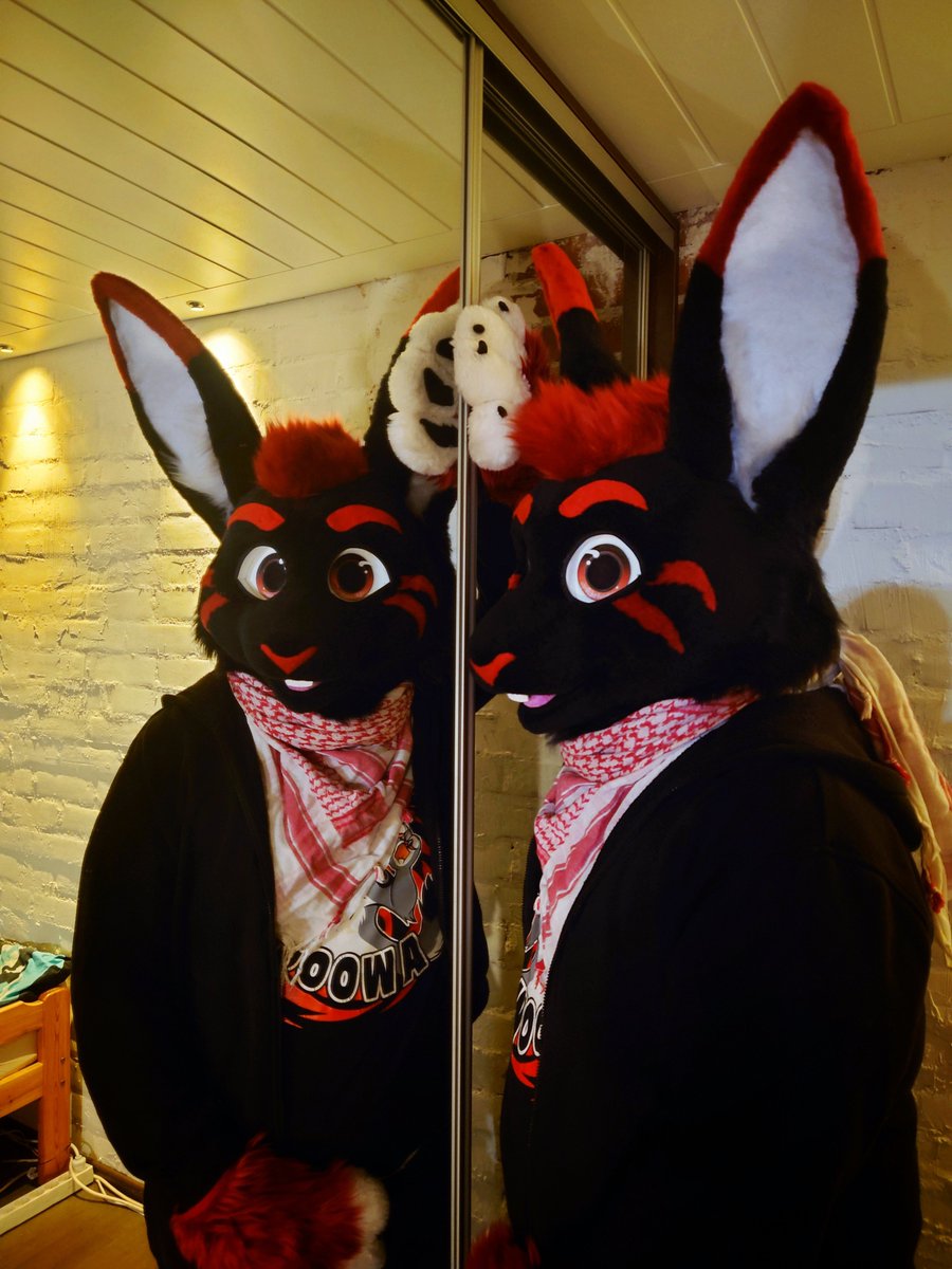 I'm Niku! 🦊 tweet media