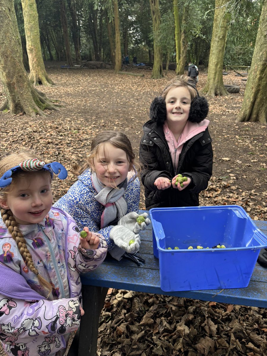 OakesRJS tweet media