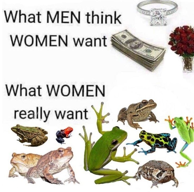 No Context Frogs (@nocontextfrogs) on Twitter photo 