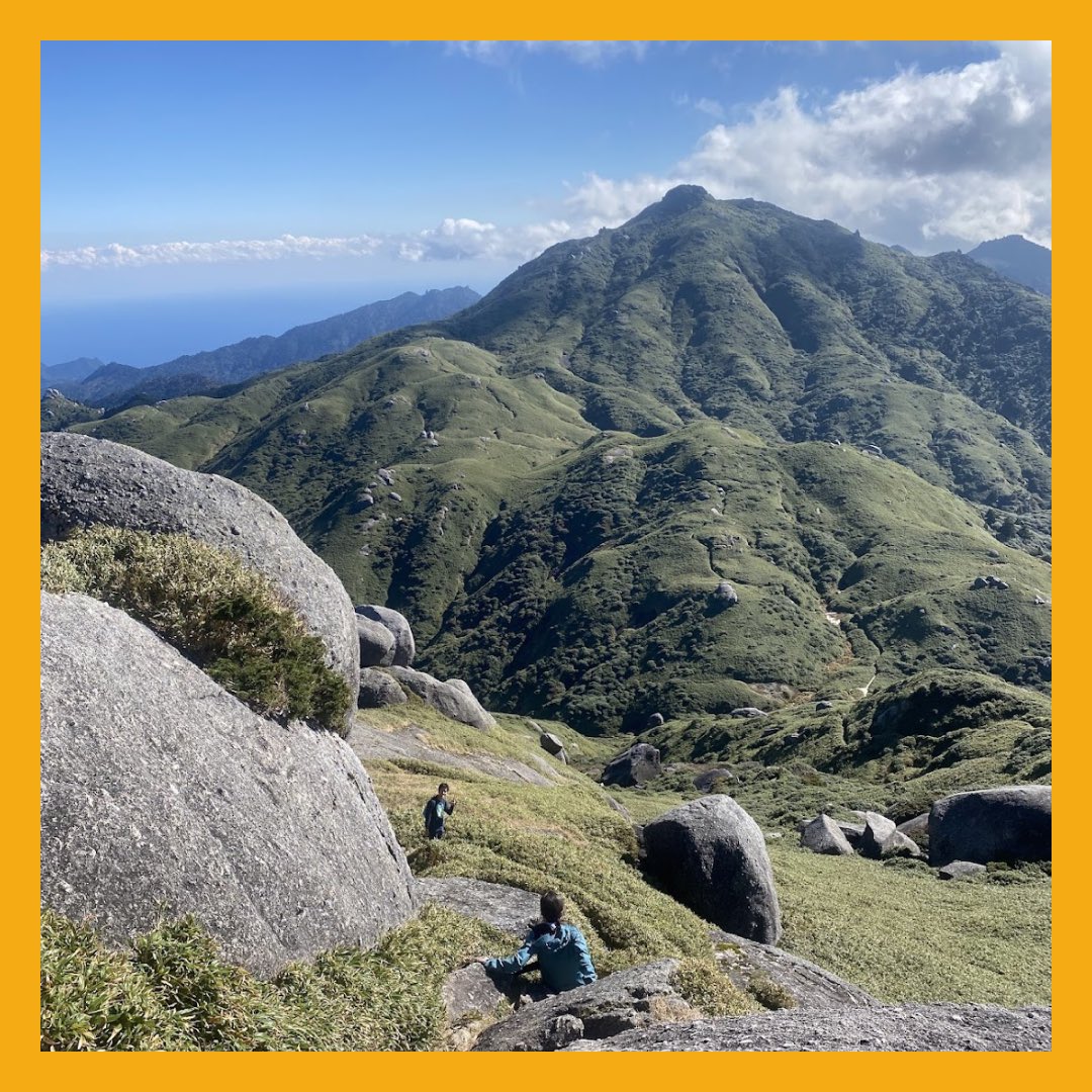 keioKWV's tweet photo. 11/22から11/24にかけて、三田祭リー養が屋久島の宮之浦岳で行われました⛰️🥾

屋久島でリー養なんて羨ましいですね…！私が数年前に屋久島に行った時は雨の中木道を歩いた記憶があるので、雨の多い屋久島で快晴の山行を楽しめたそうで、羨ましい限りです✨ https://t.co/KLFibJTXGg