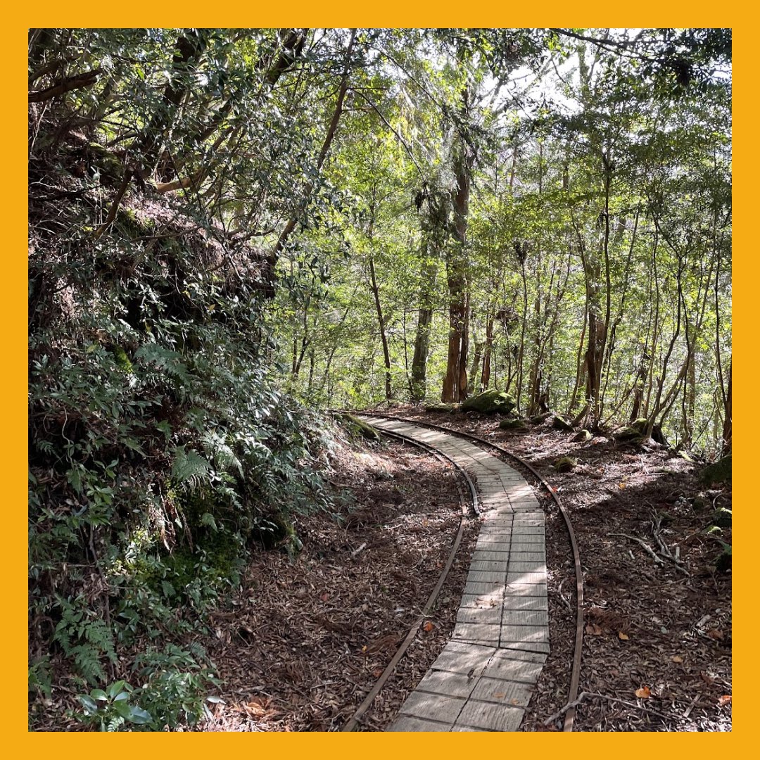 keioKWV's tweet photo. 11/22から11/24にかけて、三田祭リー養が屋久島の宮之浦岳で行われました⛰️🥾

屋久島でリー養なんて羨ましいですね…！私が数年前に屋久島に行った時は雨の中木道を歩いた記憶があるので、雨の多い屋久島で快晴の山行を楽しめたそうで、羨ましい限りです✨ https://t.co/KLFibJTXGg