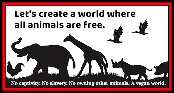 Animals should be Free - #vegan #animalrights