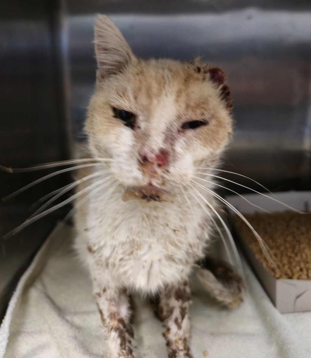 Fundraiser by Don McLeod : Black \u0026 Blue proof of concept, image size:1043x1200