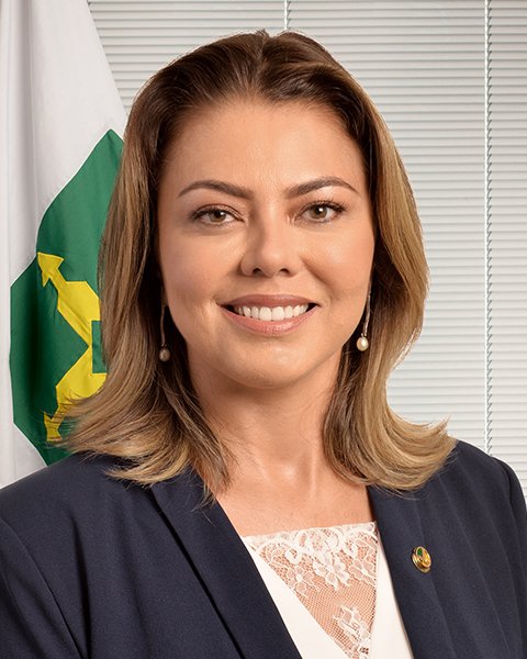 A Senadora Leila Barros do PDT do DF também votou a favor do aumento de impostos. Assim como Romário, se elegeu pelo seu passado no esporte mas na verdade, nem sabe o que está fazendo lá. Chega desses oportunistas. Em 2O26 vamos manda-la para onde nunca deveria ter saído, a praia