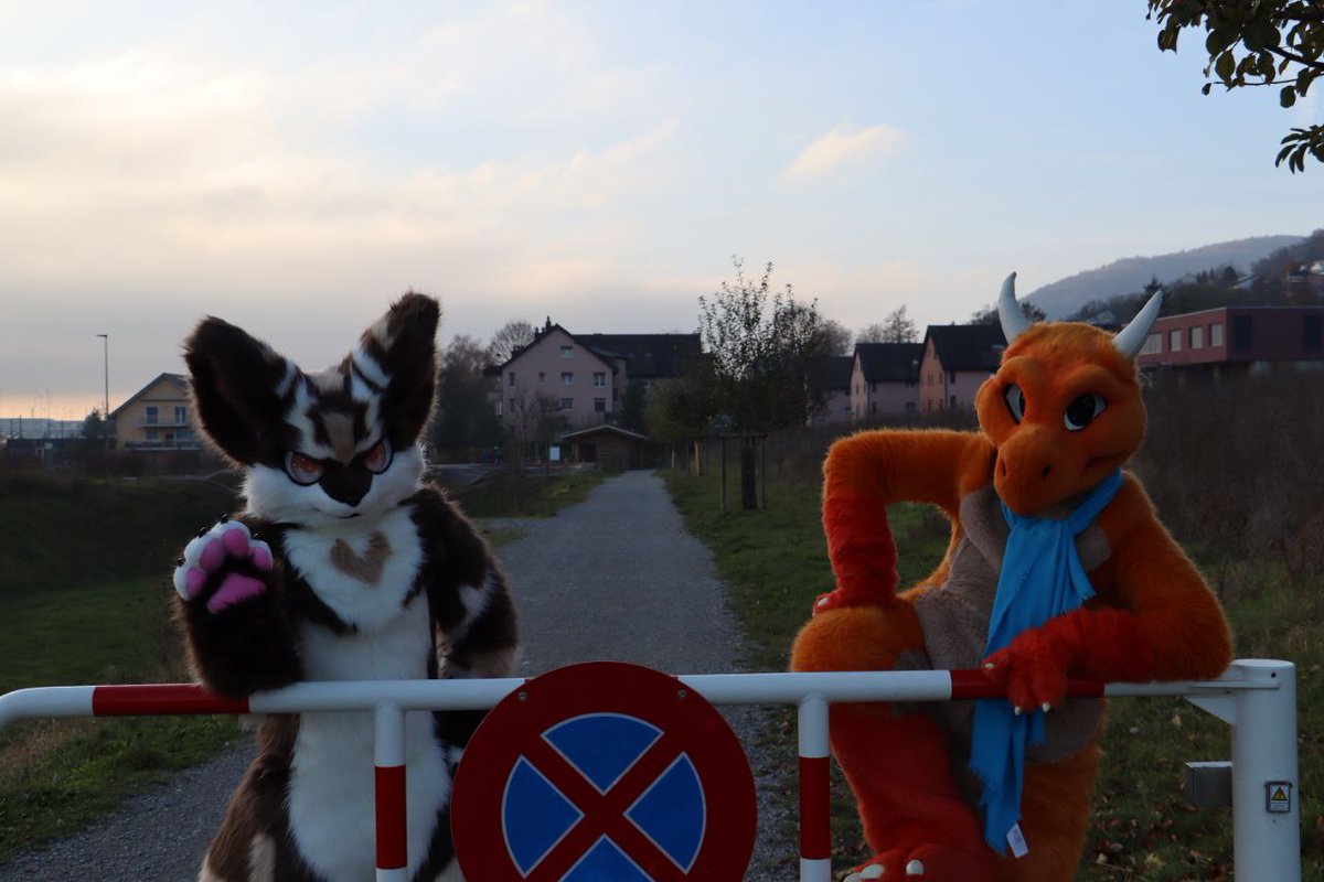 Blazin the 'bold 🇨🇭 (@blazindevilify) on Twitter photo Only certified cuties may enter, respond with the cutest pic of your sona and we shall let you pass :3
#FursuitFriday with Mystra :3 my buddies brand new suit!
My suitmaker: <a href="/Komickrazi/">Temperance</a>
📸: my bf <3 Only certified cuties may enter, respond with the cutest pic of your sona and we shall let you pass :3
#FursuitFriday with Mystra :3 my buddies brand new suit!
My suitmaker: <a href="/Komickrazi/">Temperance</a>
📸: my bf <3