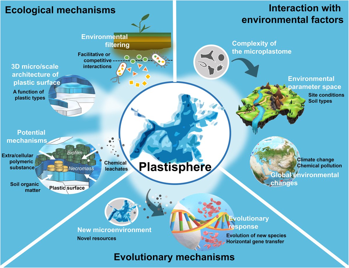 One Earth (@oneearth_cp) on Twitter photo What is the soil plastisphere & how does it threaten soil ecosystems and beyond? Read this super interesting Commentary from <a href="/mrillig/">Matthias C. Rillig</a> & colleagues cell.com/one-earth/full… What is the soil plastisphere & how does it threaten soil ecosystems and beyond? Read this super interesting Commentary from <a href="/mrillig/">Matthias C. Rillig</a> & colleagues cell.com/one-earth/full…