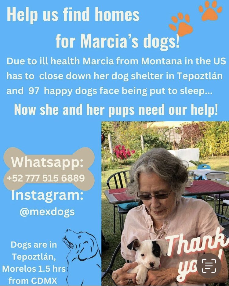 Susana Seijas Dacey tweet media