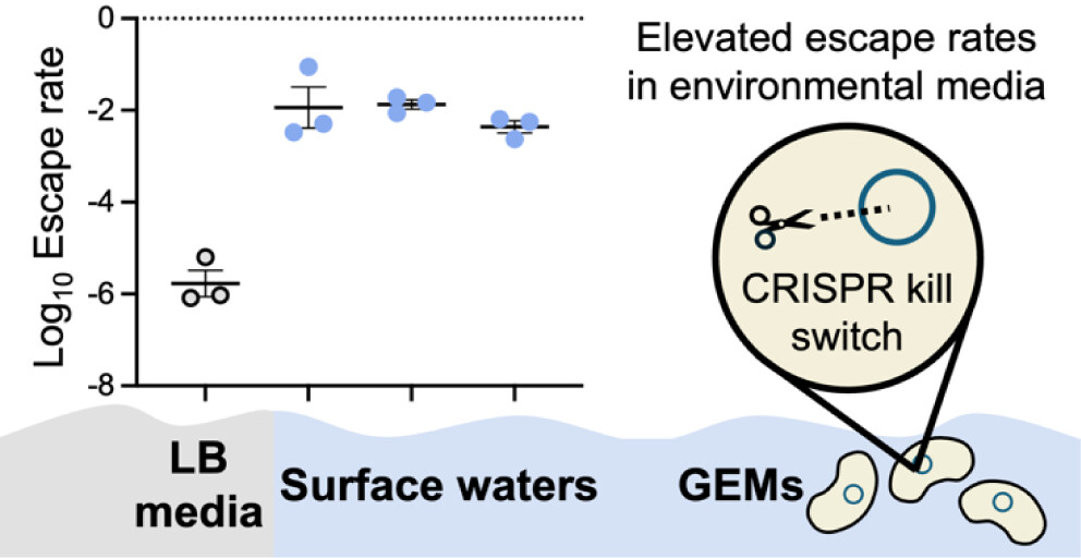 Moon_Synth_Bio's tweet photo. Happy to share our collaborative work published with Kim Parker in Environmental Science & Technology
Influence of Environmental Conditions on the Escape Rates of Biocontained Genetically Engineered Microbes
#biocontainment
@AmerChemSociety @JCVenterInst
https://t.co/Uw6xk30WY8 https://t.co/LMwtDm97Nd