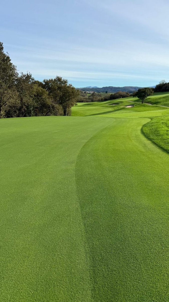 Un campo que desafía tu destreza y recompensa tu precisión 🎯 Golf Santa Marina es una invitación a disfrutar del juego y la belleza de nuestro entorno natural.

#GolfSantaMarina #GolfCantabria #SeveDesign #DestinodeGolf #Campodegolf