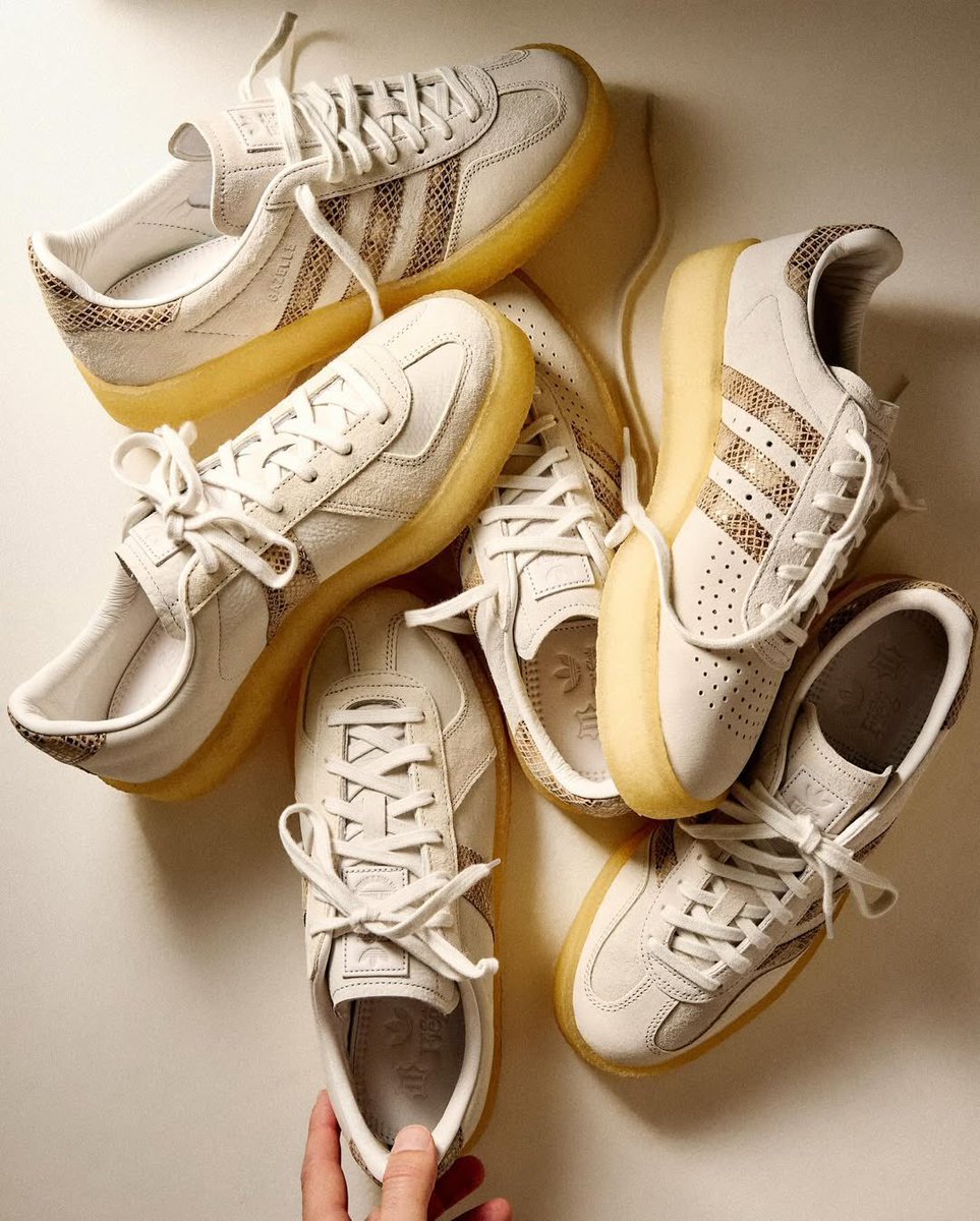 Sole Retriever tweet media