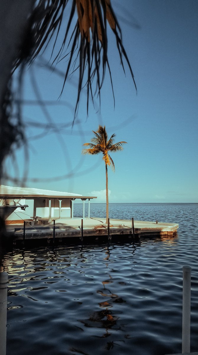 DRΞWDΞLTZ tweet media