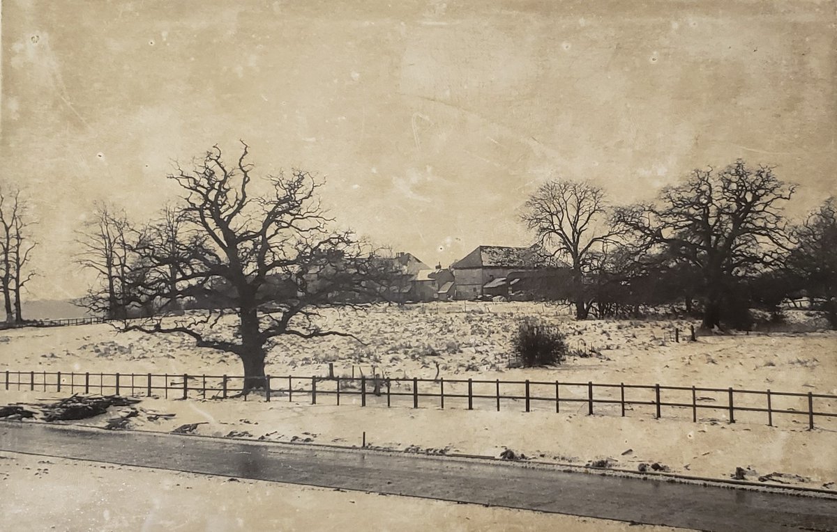 explorethepast tweet media