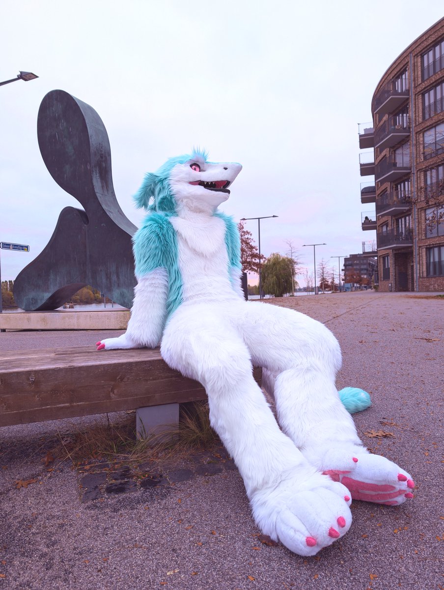fachtna_merp's tweet photo. merp ! happy #fursuitfriday ! https://t.co/ik7BsmvYDR