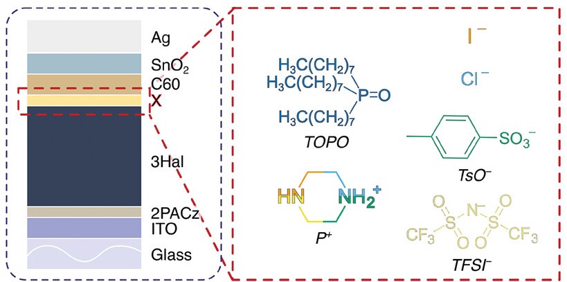 Steve Albrecht's Lab tweet media