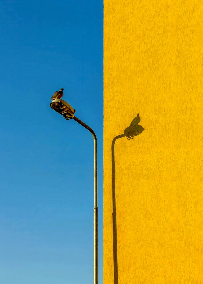 CameraLab tweet media