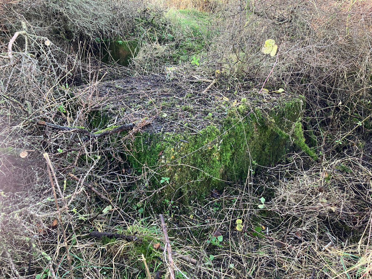 Yesterday, volunteers from <a href="/NaturalEngland/">Natural England</a>'s East Midlands area team uncovered historic anti-tank obstacles and cleared space for a new accessible viewing platform at Saltfleetby-Theddlethorpe Dunes, part of the Lincolnshire Coronation Coast #NationalNatureReserve! 👏
