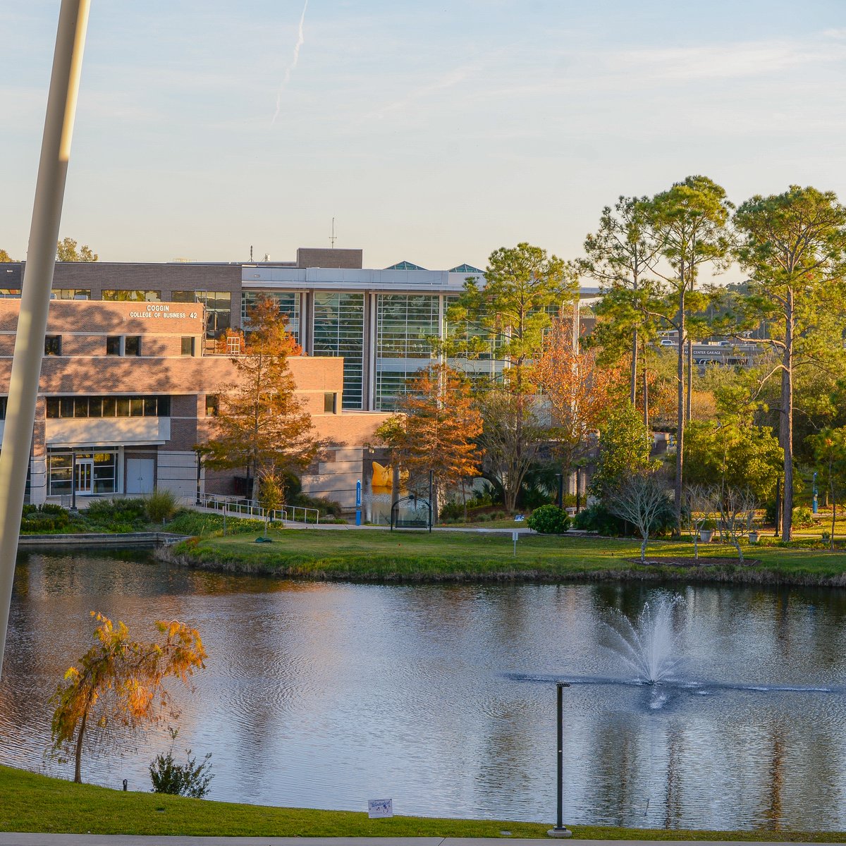 Campus is quiet as the year winds down—have a restful break, Ospreys! ✨