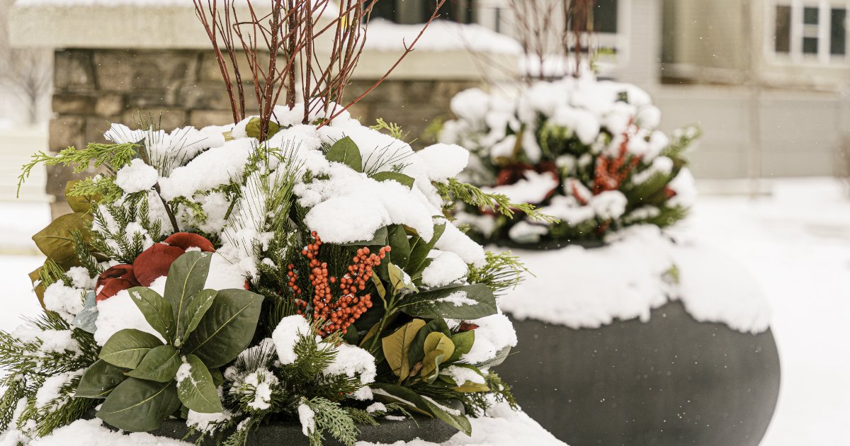 McGarrRealty's tweet photo. Winter doesn’t have to mean a dull exterior! Boost your home’s curb appeal with these winter-friendly tips. From seasonal landscaping to keeping pathways clear, make sure your home stands out this season. Need more ideas? Contact us! 
https://t.co/SKEQECEqra https://t.co/AZaoe5PbZa