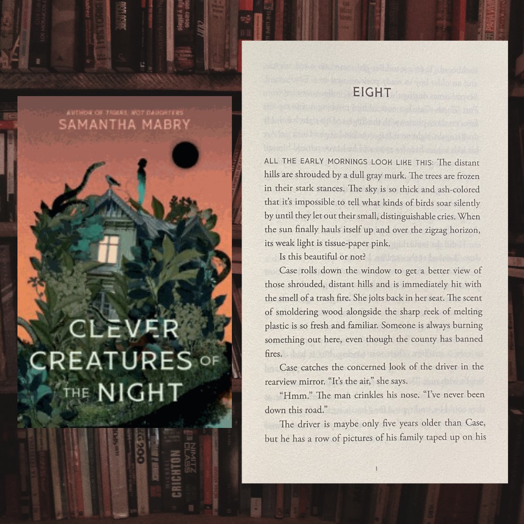 Willowridge HS Library (@thewhslibrary) on Twitter photo Upon arrival at her best friend Drea's isolated West Texas home & finds her missing, Case embarks on a search for clues about Drea's disappearance while facing the unsettling, cult-like, & possibly murderous behavior of Drea's roommates. #FirstPageFriday
fortbendisd.follettdestiny.com/cataloging/ser… Upon arrival at her best friend Drea's isolated West Texas home & finds her missing, Case embarks on a search for clues about Drea's disappearance while facing the unsettling, cult-like, & possibly murderous behavior of Drea's roommates. #FirstPageFriday
fortbendisd.follettdestiny.com/cataloging/ser…