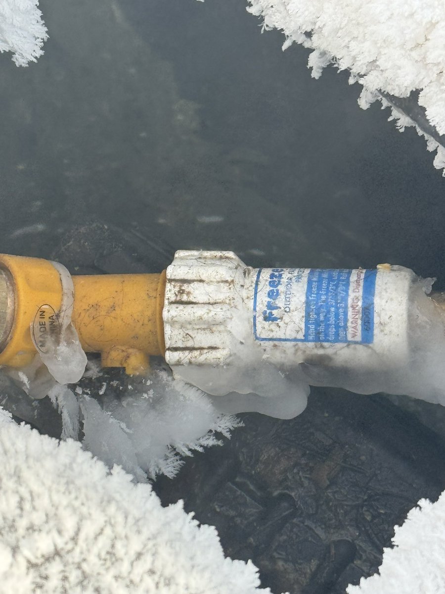 I’ve been using these for 3 years, highly recommend