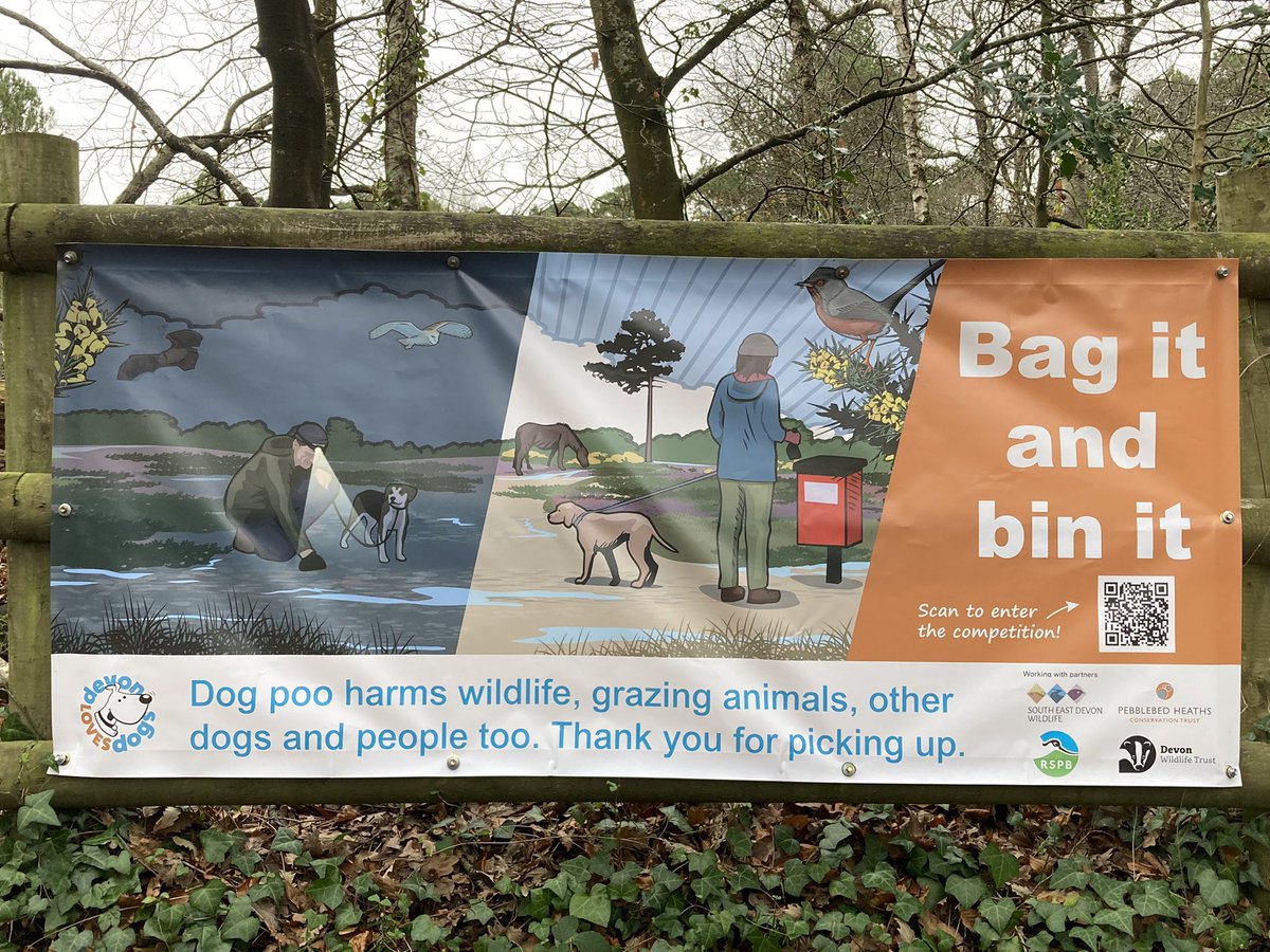 Sarah Butcher (@_sarahbutcher) on Twitter photo Love this banner from <a href="/SEDwildlife/">South East Devon Wildlife</a> -great to see such high profile nocturnal wildlife. :) Love this banner from <a href="/SEDwildlife/">South East Devon Wildlife</a> -great to see such high profile nocturnal wildlife. :)