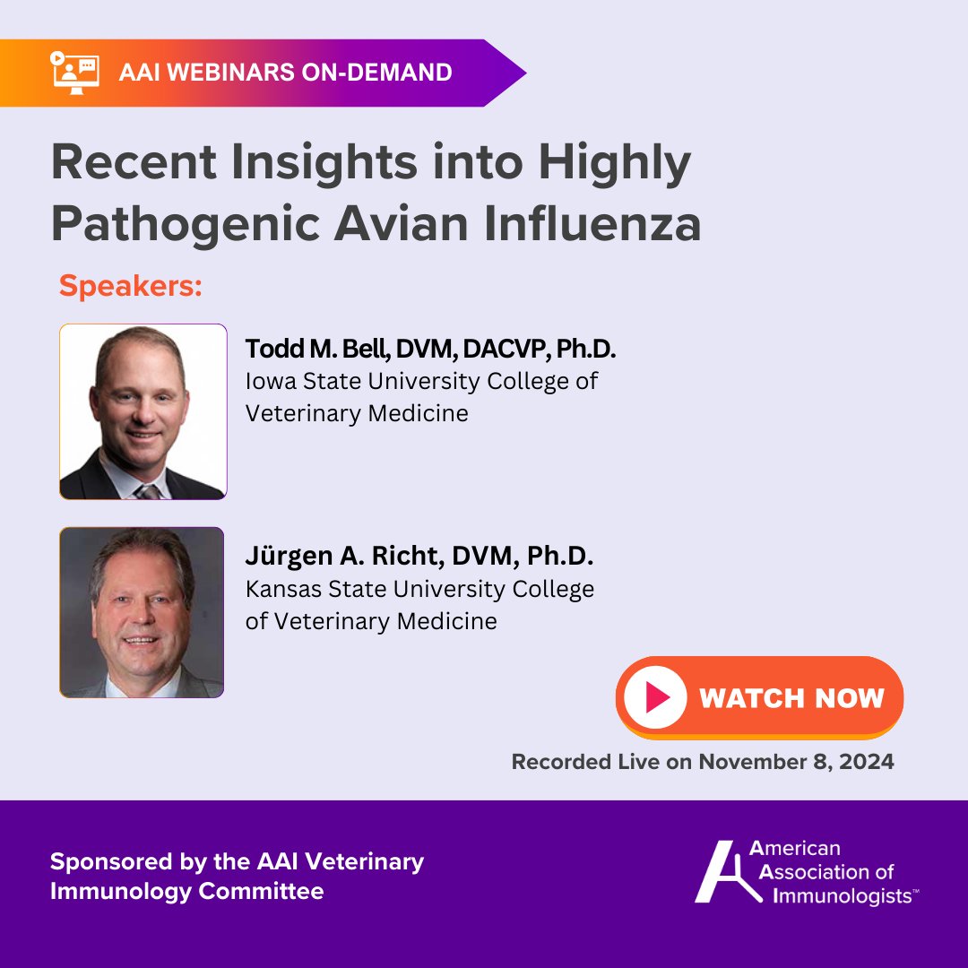 ImmunologyAAI's tweet image. Worried about the #H5N1 Bird Flu outbreak? Watch this AAI Webinar for a deep dive into the latest insights on the #AvianFlu: ow.ly/r5CA50UuZsm.

 #VeterinaryMedicine #science